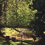 Bed&garden