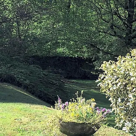 Bed&garden Cesate