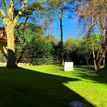 Bed&garden