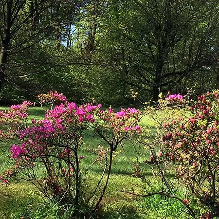 Couette-café Bed&garden 4*