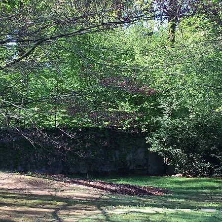 Bed&garden