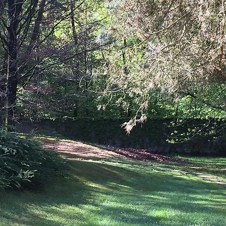Bed&garden