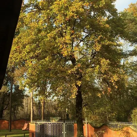 Couette-café Bed&garden