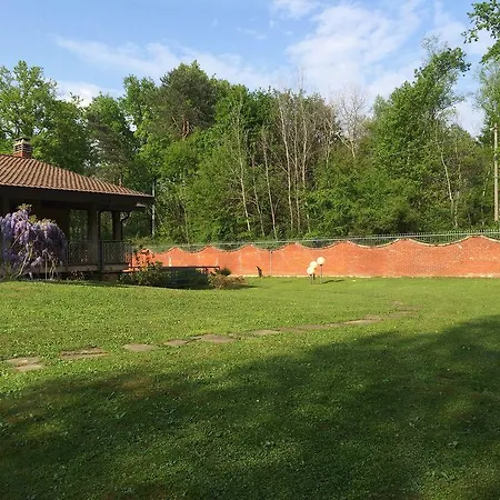 Bed&garden