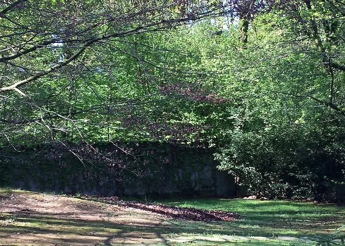 Bed&garden