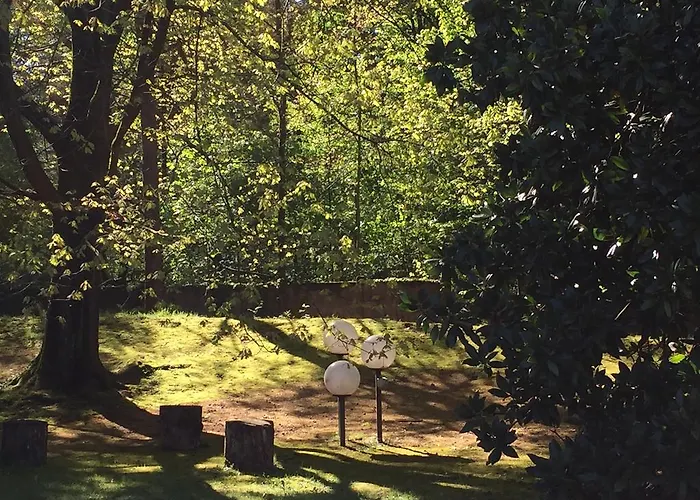 Bed&garden