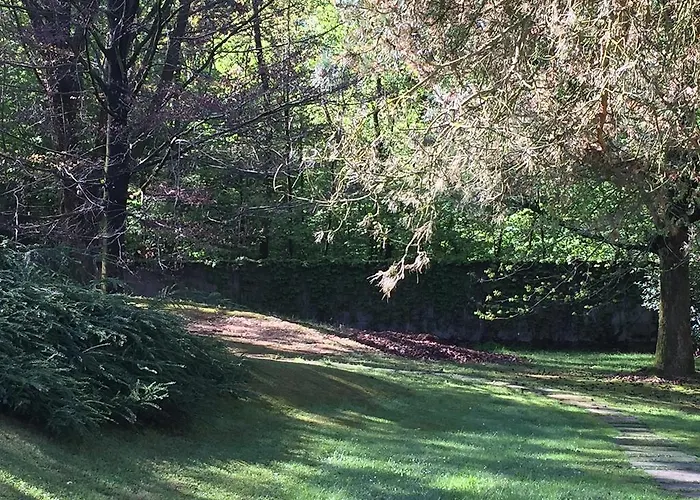 Bed&garden