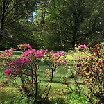 Bed & Breakfast Bed&garden 4*