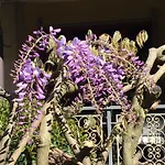 Bed & Breakfast Bed&garden