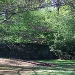 Bed&garden