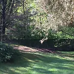 Bed&garden