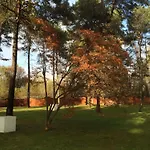 Bed&garden